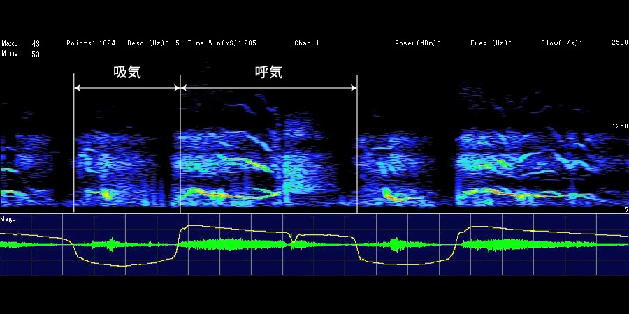 スマホ・PCで聴ける！一番最初に読みたい ナースのための肺の聴診｜特設サイト